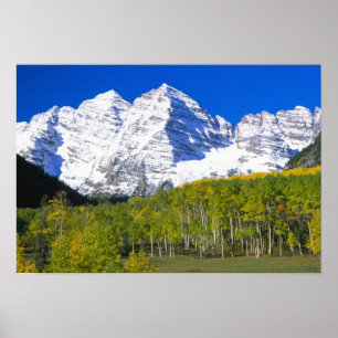 Maroon Bells med höstfärgad aspeskog. Poster