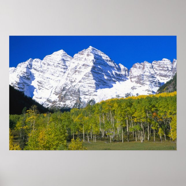Maroon Bells med höstfärgad aspeskog. Poster (Framsidan)