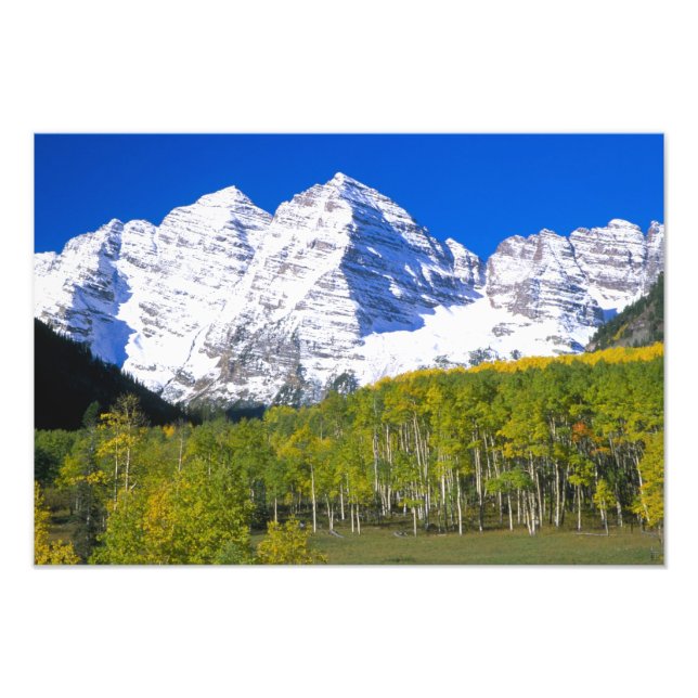 Maroon Bells med höstfärgad aspskog. Fototryck (Framsidan)