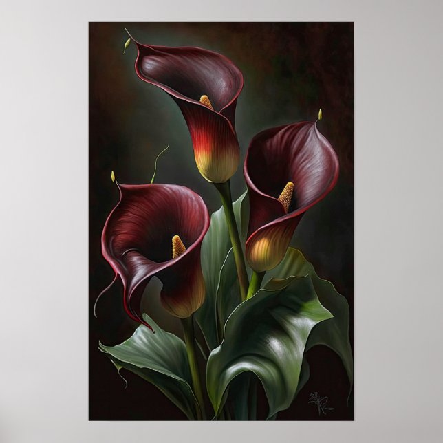 Maroon Calla Lilies Lily Flower Art Print Poster (Framsidan)