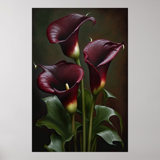 Maroon Calla Lilies Lily Flower Art Print Poster (Framsidan)