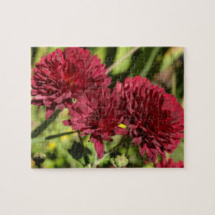 Maroon Chrysanthemums Pussel