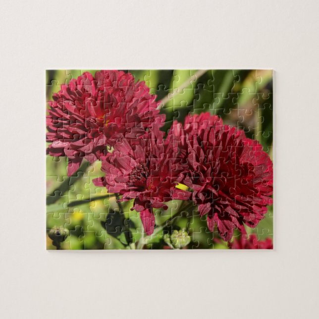 Maroon Chrysanthemums Pussel (Horisontell)