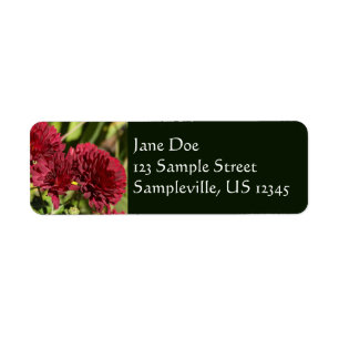 Maroon Chrysanthemums Returadress Etikett