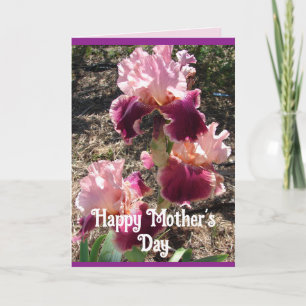 Maroon Flowers Blommigt Iris Irises Mors dag Card Kort