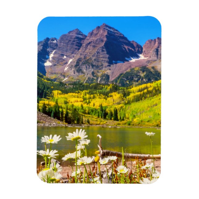 Maroon Klockor i Aspen, Colorado Magnet (Vertikal)