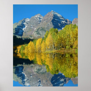Maroon Klockor med Aspen Poster