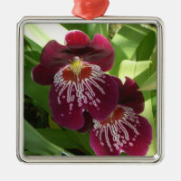 Maroon Orchids II Elegant Blommigt