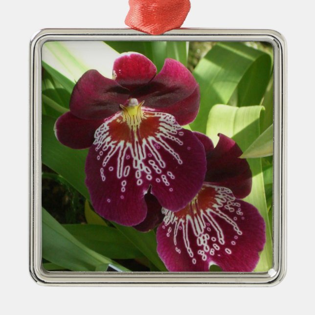 Maroon Orchids II Elegant Blommigt Julgransprydnad Metall (Framsidan)