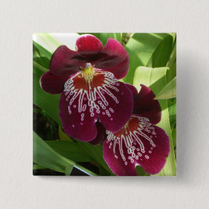Maroon Orchids II Elegant Blommigt Knapp