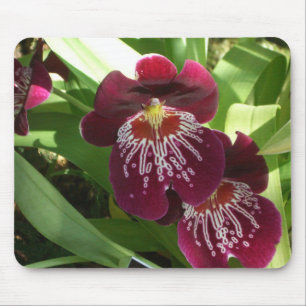 Maroon Orchids II Elegant Blommigt Musmatta
