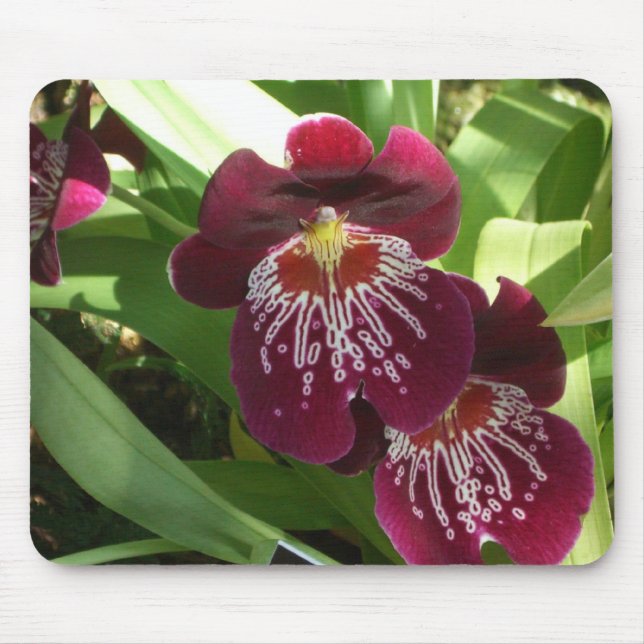 Maroon Orchids II Elegant Blommigt Musmatta (Framsidan)