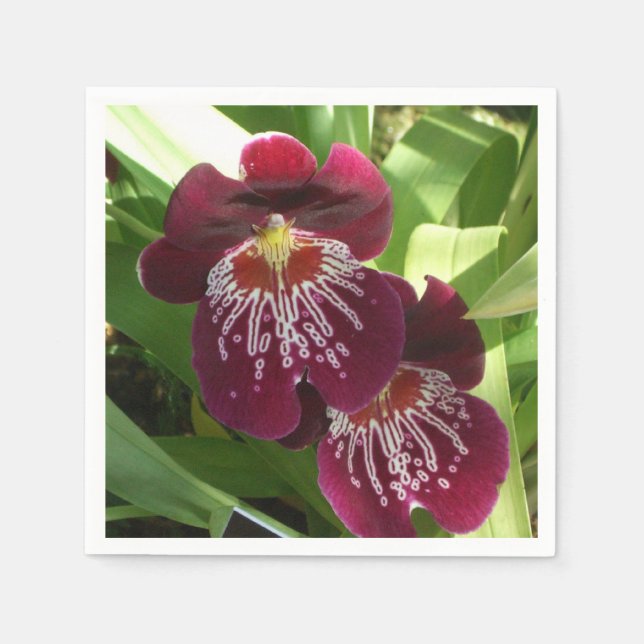 Maroon Orchids II Elegant Blommigt Pappersservett (Framsidan)