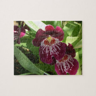 Maroon Orchids II Elegant Blommigt Pussel