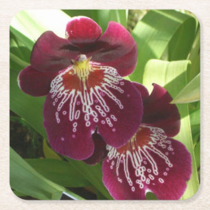 Maroon Orchids II Elegant Blommigt Underlägg Papper Kvadrat