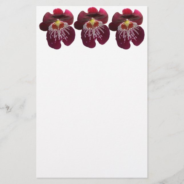 Maroon Orchids II Elegant Floral Brevpapper (Framsida)