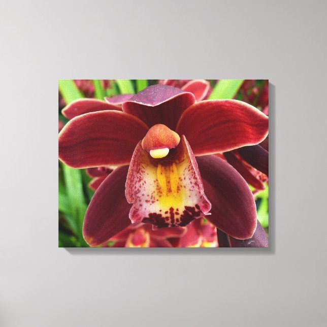 Maroon Orchids Jag vackra Red Blommigt Canvastryck (Framsida)