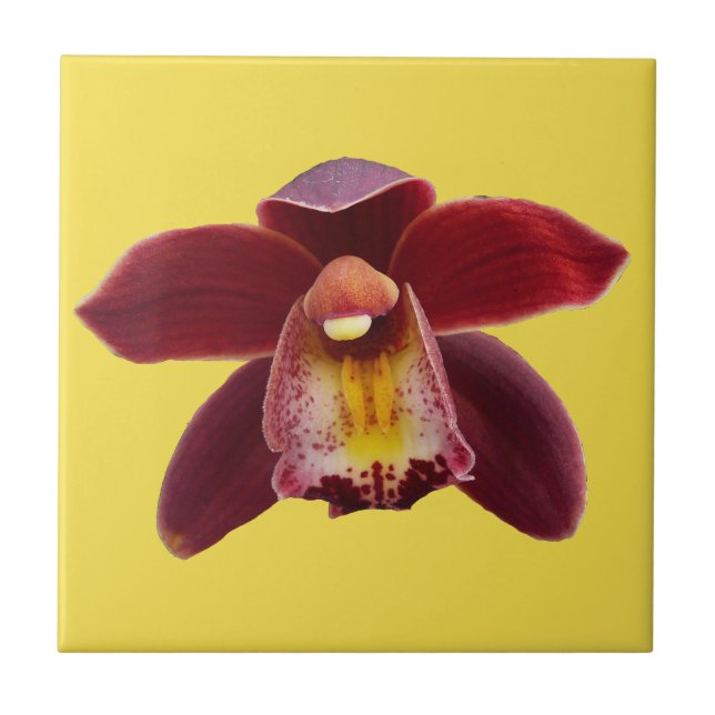 Maroon Orchids Jag vackra Red Blommigt Kakelplatta (Framsidan)