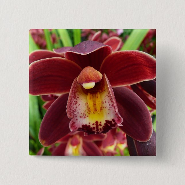 Maroon Orchids Jag vackra Red Blommigt Knapp (Framsida)