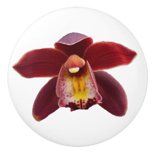 Maroon Orchids Jag vackra Red Blommigt Knopp