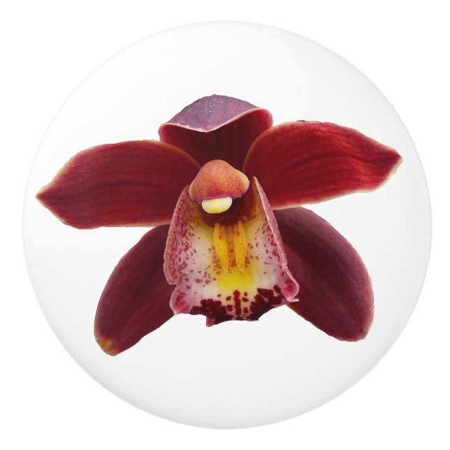 Maroon Orchids Jag vackra Red Blommigt Knopp (Framsidan)