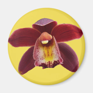 Maroon Orchids Jag vackra Red Blommigt Magnet