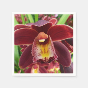 Maroon Orchids Jag vackra Red Blommigt Pappersservett
