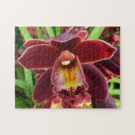 Maroon Orchids Jag vackra Red Blommigt Pussel
