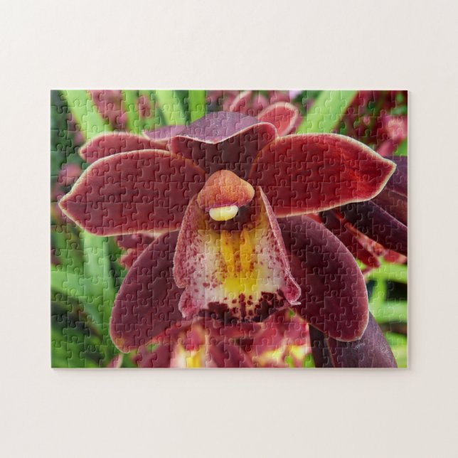 Maroon Orchids Jag vackra Red Blommigt Pussel (Horisontell)