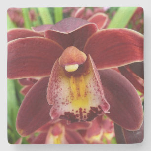 Maroon Orchids Jag vackra Red Blommigt Stenunderlägg