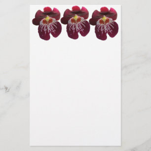 Maroon Orkidéer II Elegant Blomma Brevpapper