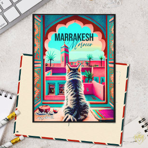 Marrakech Marocko Cat Travel Tourism Souvenir Vykort