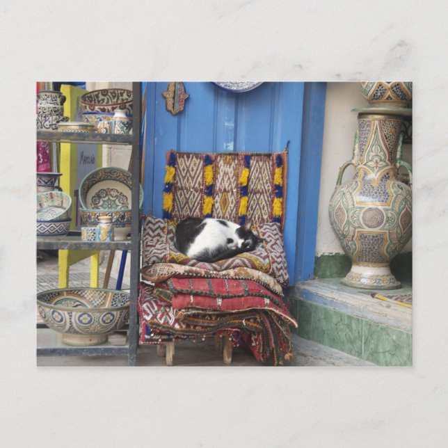 Marrakesh Cat Vykort (Framsida)