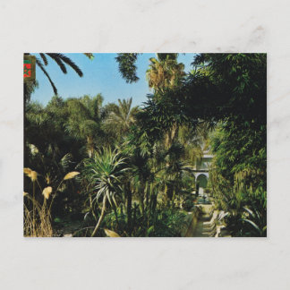 Marrakesh Majorelle trädgårdar, Marocko Vykort