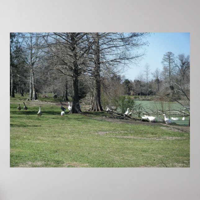 Mars 4:e_Park Ankor Poster (Framsidan)