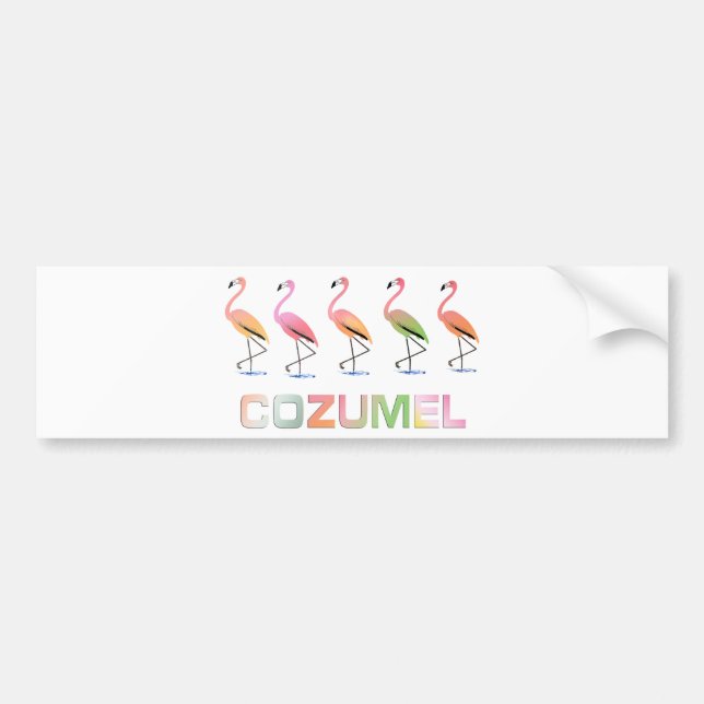 Mars av de tropiska flamingosna COZUMEL Bildekal (Framsidan)