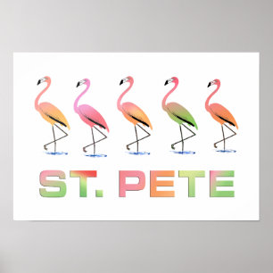 Mars av tropiska Flamingos - St Pete Poster