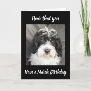 ***MARS BIRTHDAG*** ÖNSKEMÅL TILL EN SPECIELLARE P KORT