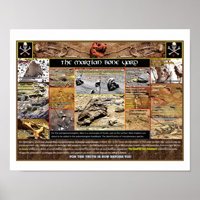 Mars Boneyard Poster (Framsidan)