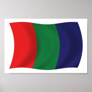 Mars Flagga Affisch Print