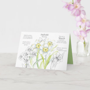 Mars födelsedag Daffodil Födelsemånad - blomma Kort