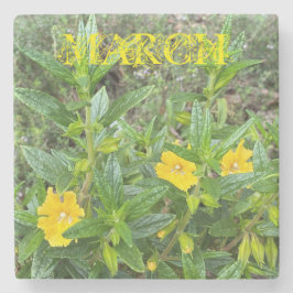 Mars Monkeyblommor Stenunderlägg