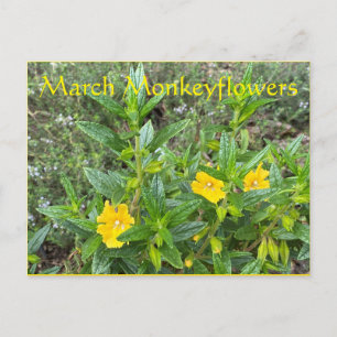 Mars Monkeyblommor Vykort