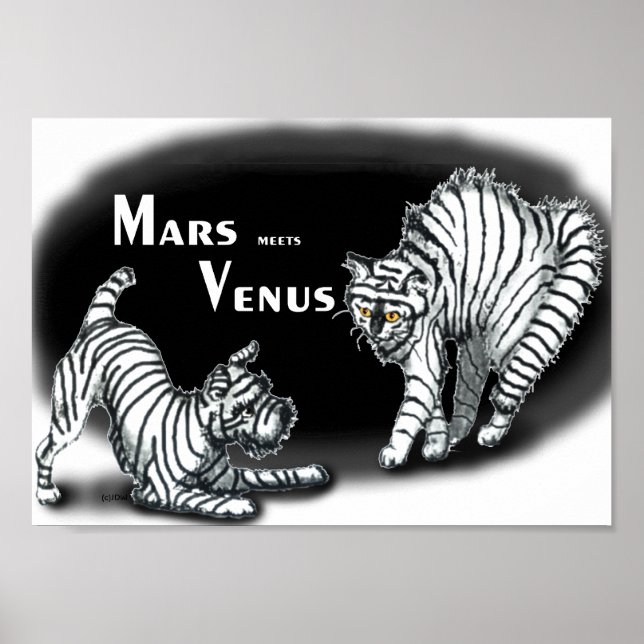 Mars möter Venus Poster (Framsidan)