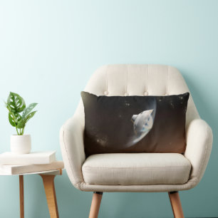 Mars Science Laboratory Aeroshell Capsule 2 Lumbarkudde