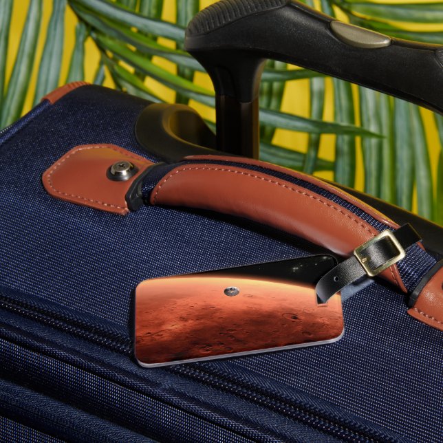 Mars Science Laboratory närmar sig Mars. Bagagebricka (Framsida Insitu 3)