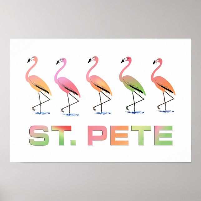 Mars Tropical Flamingos - St Pete Poster (Framsidan)