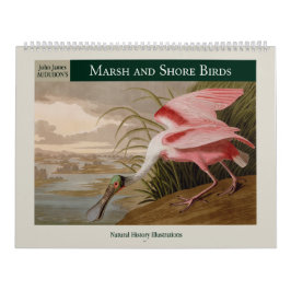 Marsh and Shore Birds 2026 Kalender