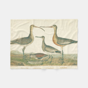 Marsh Bird Curlew Snipe Birding Fleecefilt