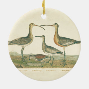 Marsh Bird Curlew Snipe Birding Julgransprydnad Keramik